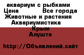 аквариум с рыбками › Цена ­ 1 000 - Все города Животные и растения » Аквариумистика   . Крым,Алушта